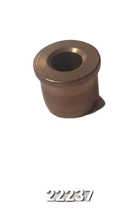 SATZ AUS (2) BRYCE-BUCHSEN 22237